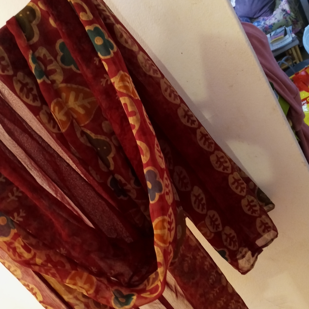 Beautiful vintage sheer scarf/dupatta